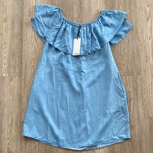 ZARA Denim Dress